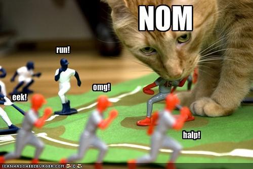 funny-pictures-cat-eats-baseball-pl.jpg